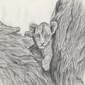 Lion Cub in Tree